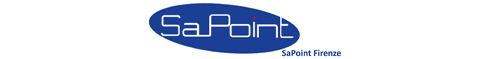 logo_sapoint logo_sapoint